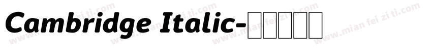 Cambridge Italic字体转换